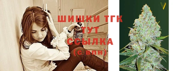 spice Балабаново