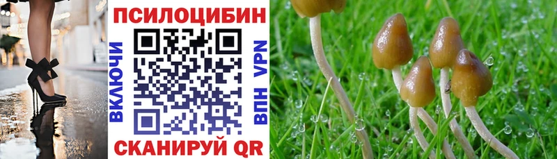 Псилоцибиновые грибы прущие грибы Горняк